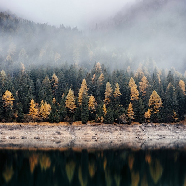 Autumn Soundtrack 2020