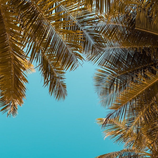 Summer Soundtrack 2019