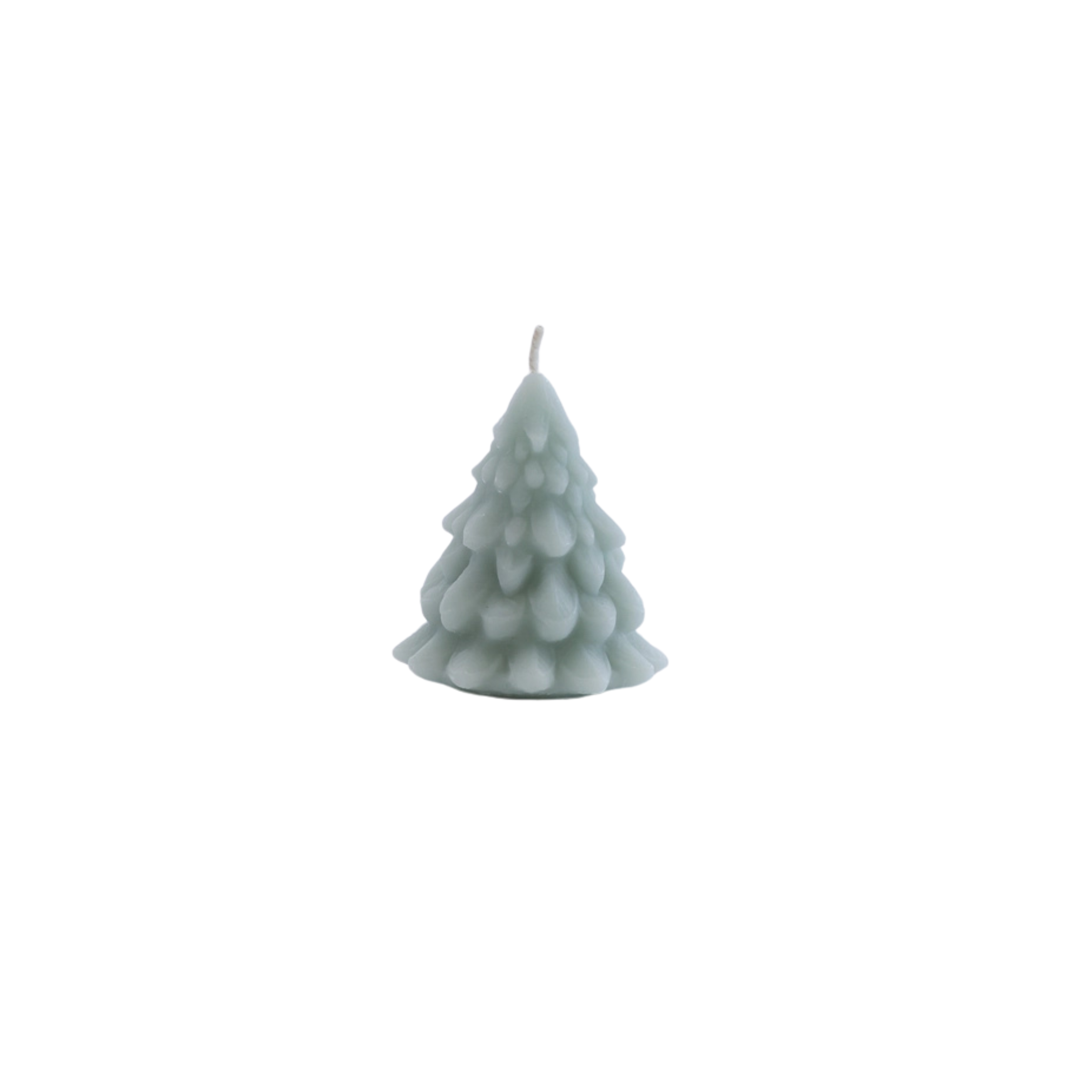Beeswax Tree Candle