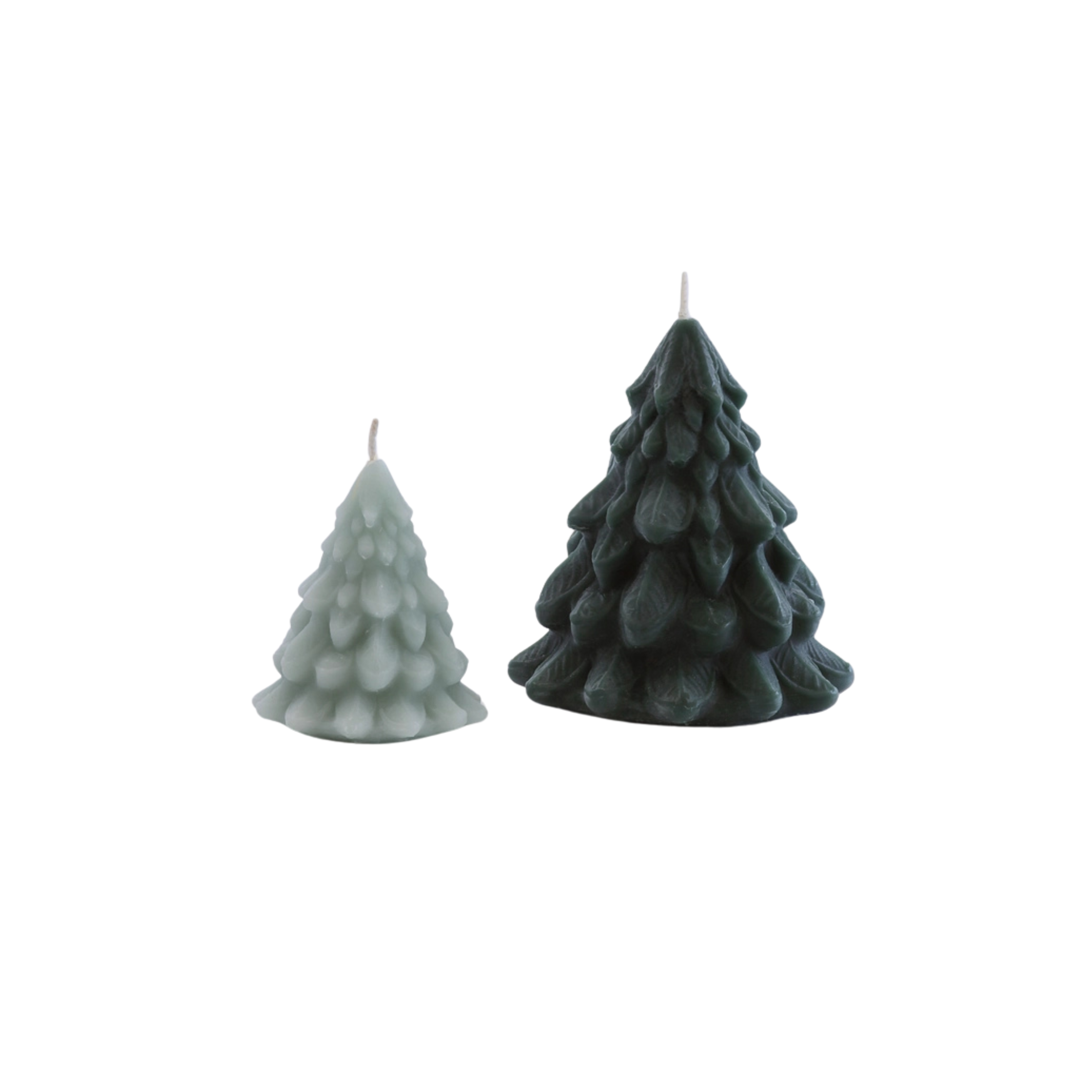 Beeswax Tree Candle