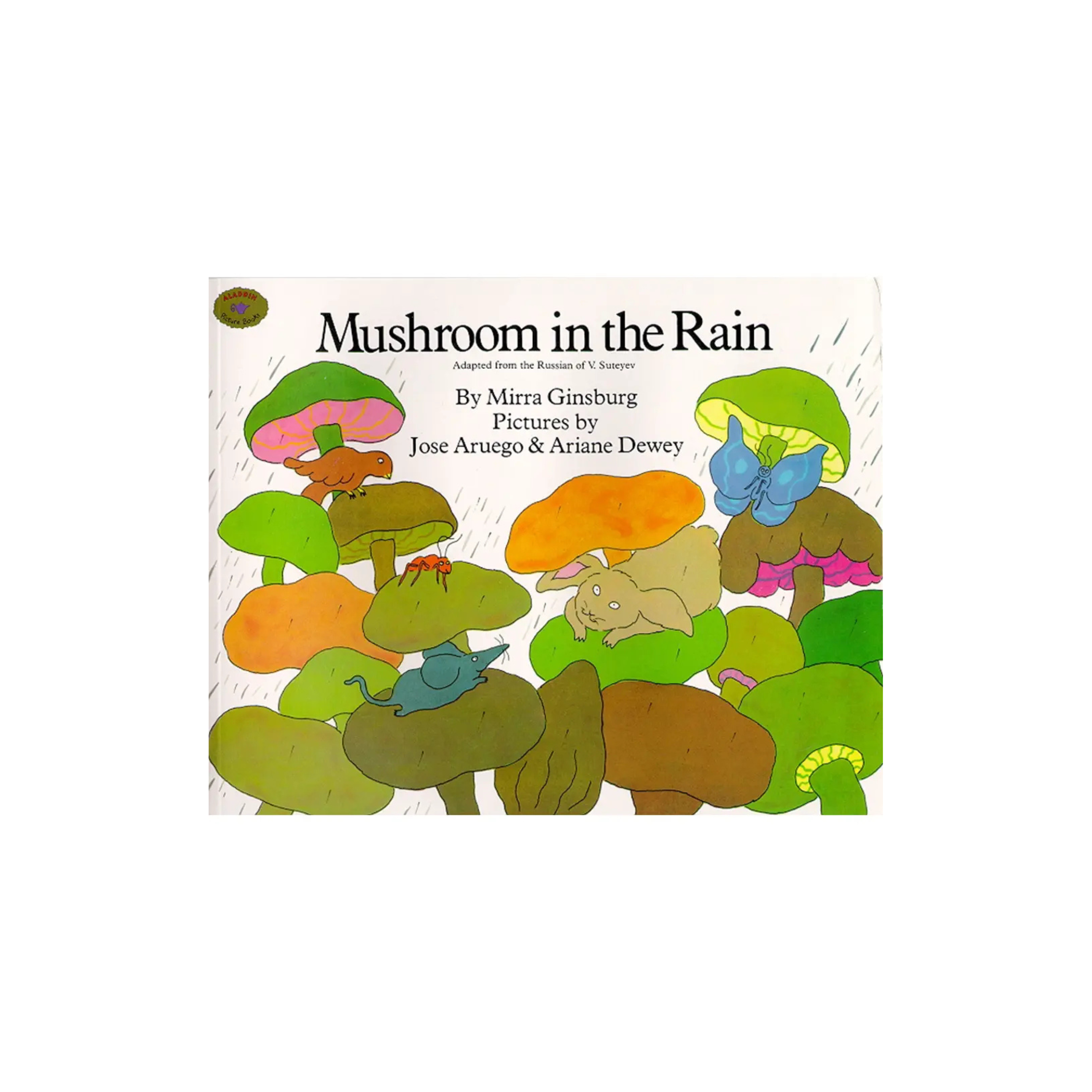 Mushroom in the Rain