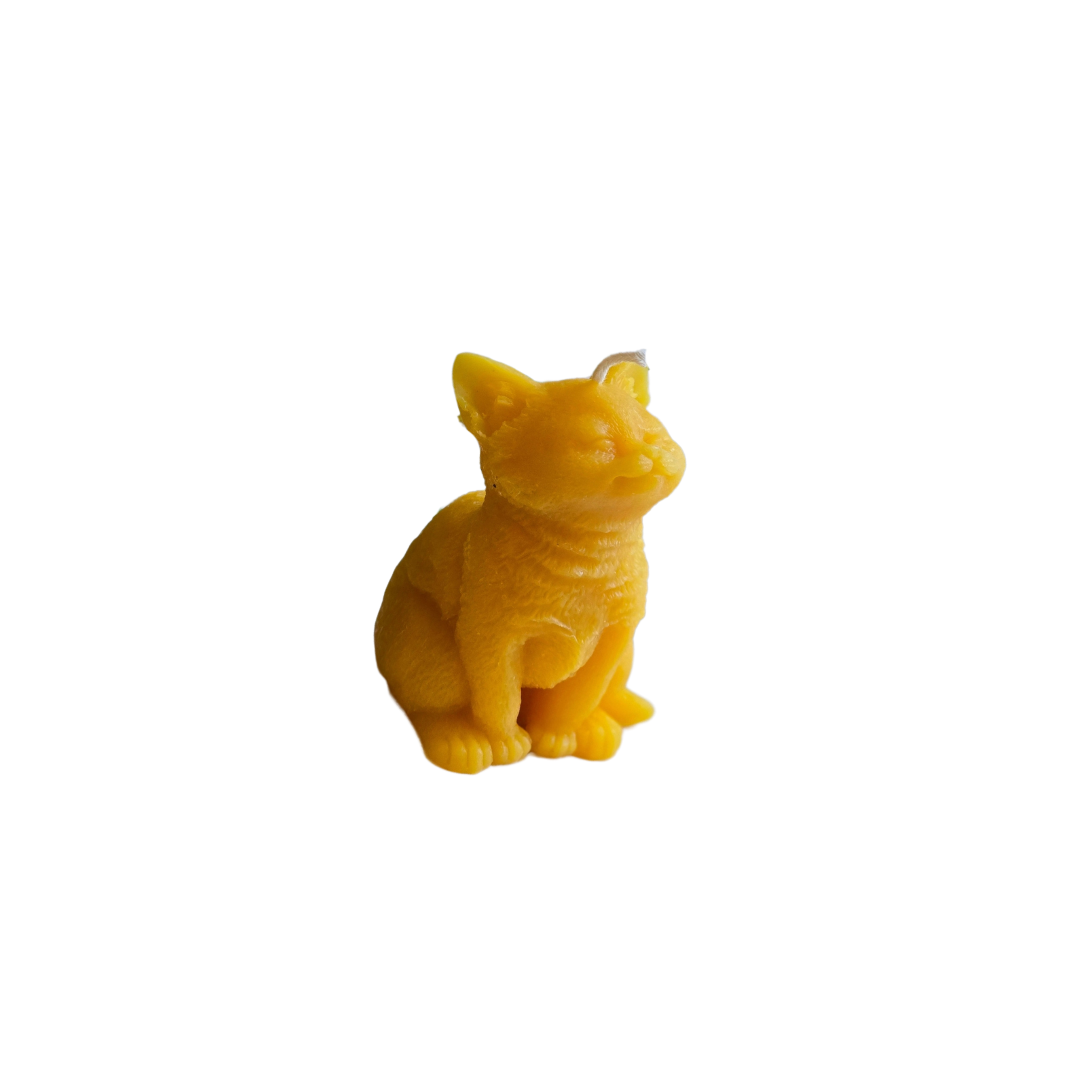 Cat Beeswax Candle