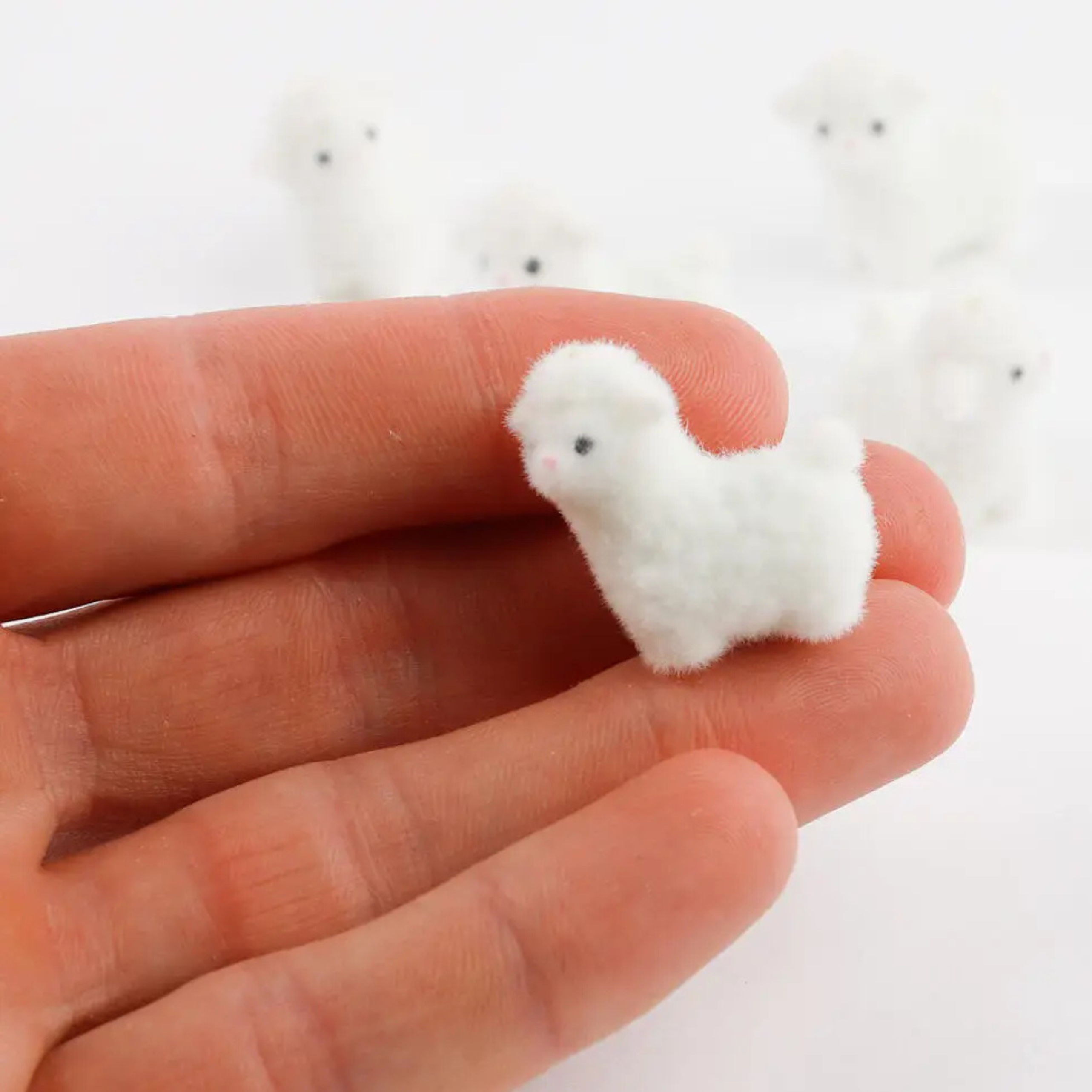 Mini Flocked Lamb