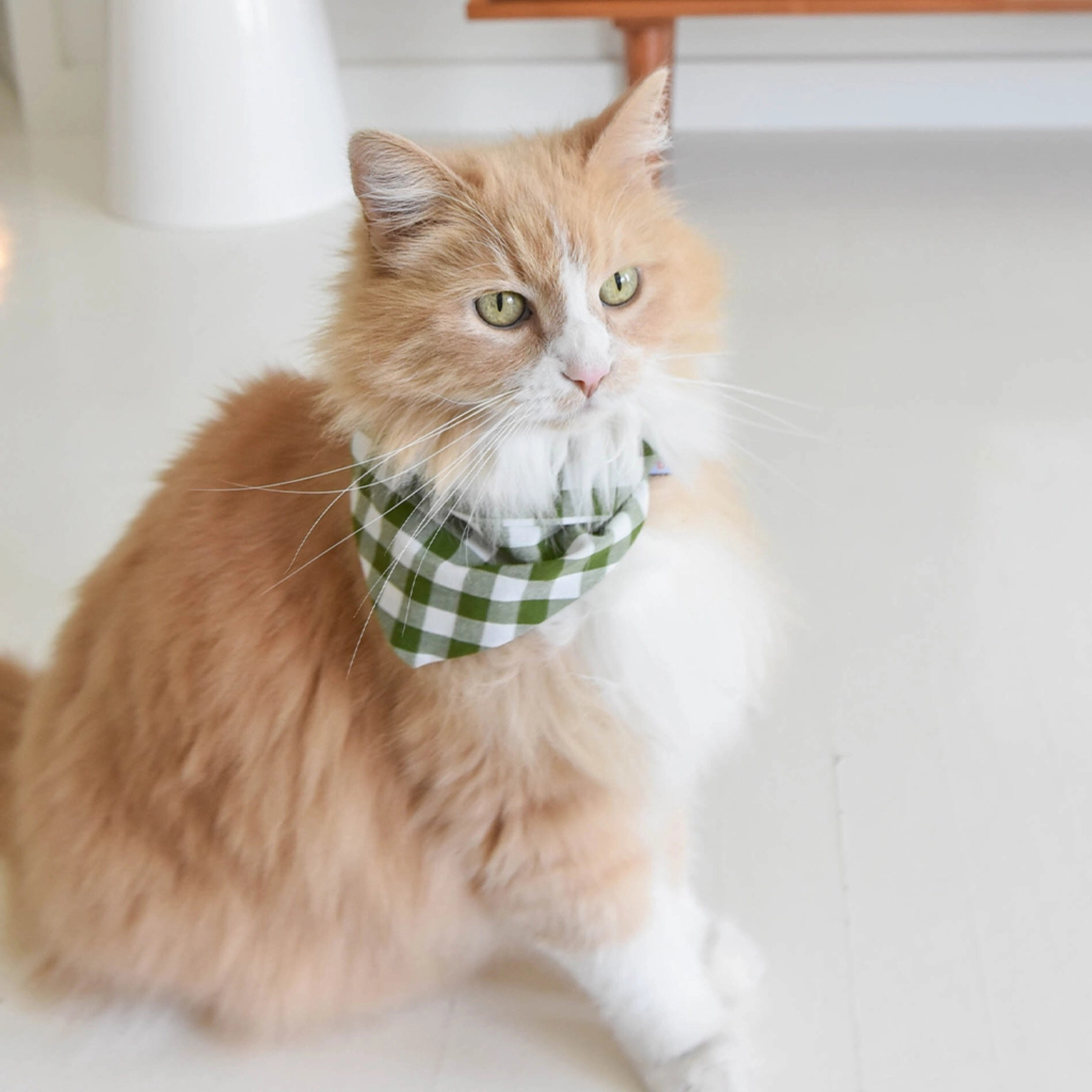 Gingham Pet Bandana - Forest