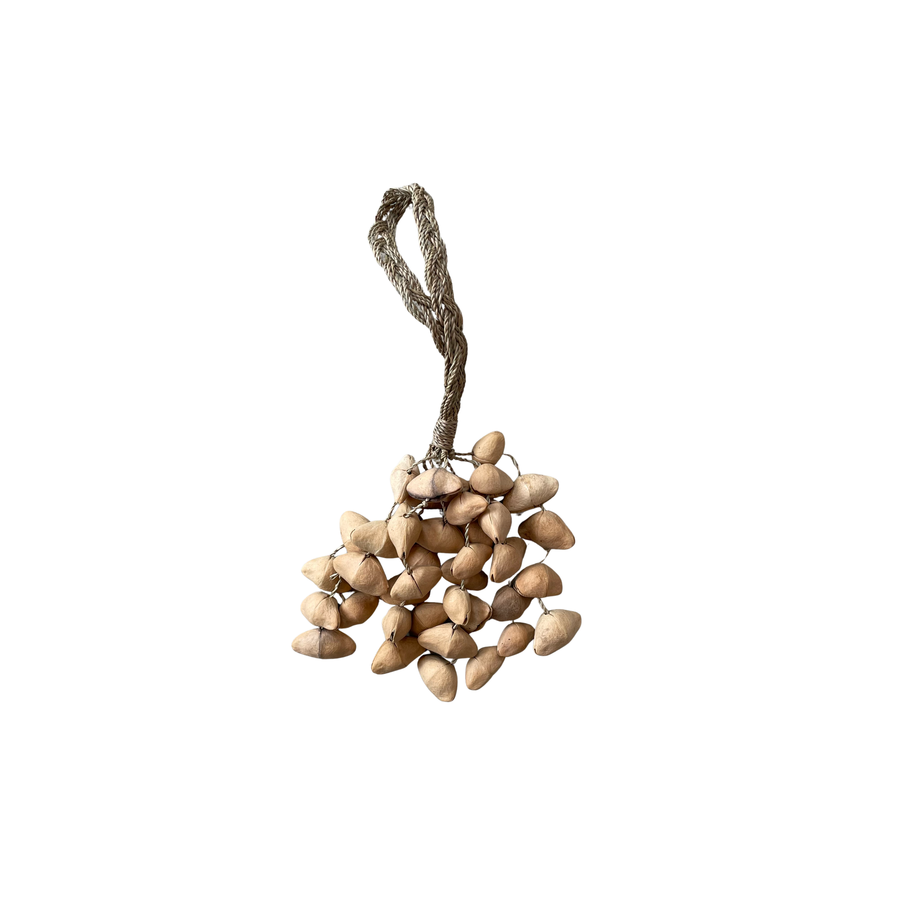 Kenari Seed Rattle