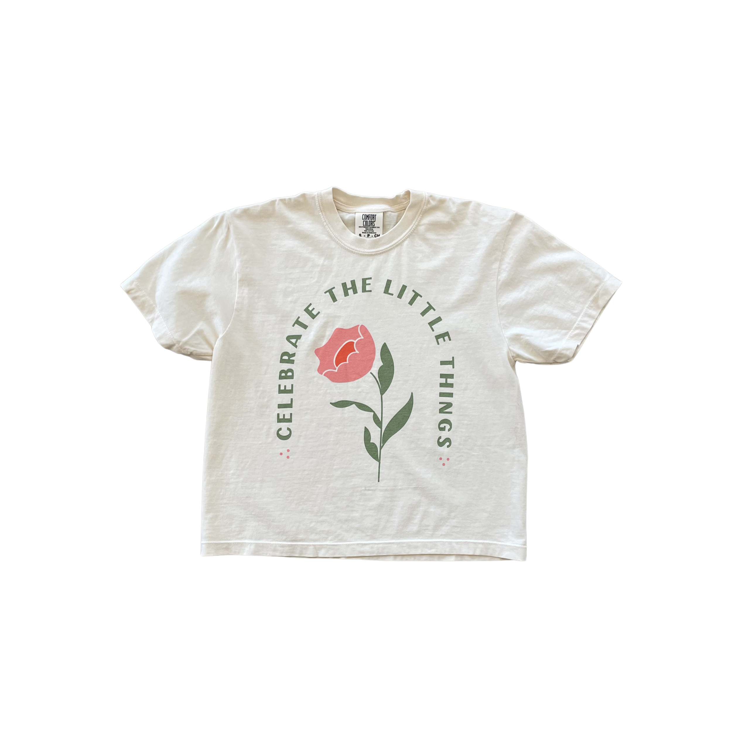 Celebrate Boxy Cropped Tee