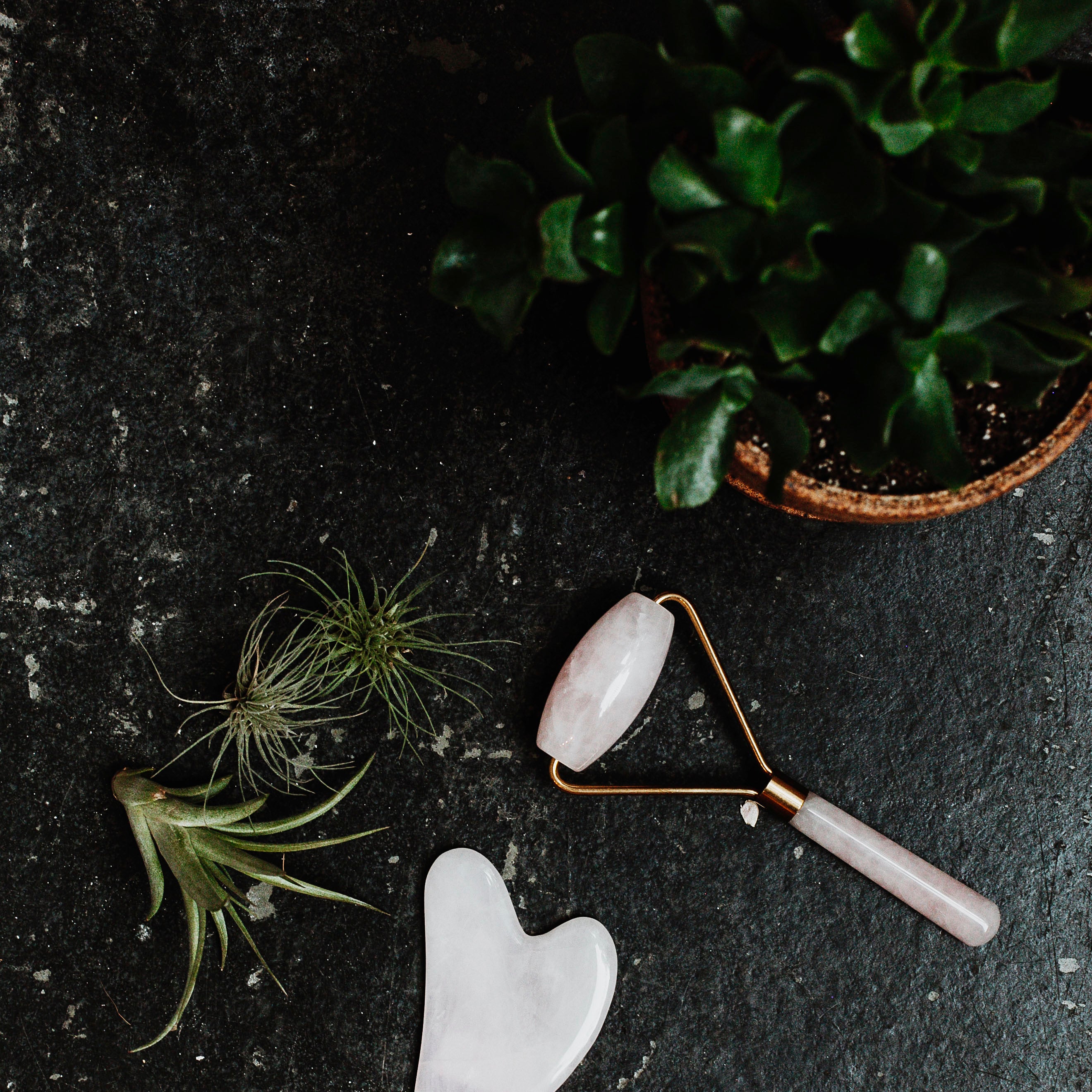 CLEAN THOUGHTS | Easy Green Living