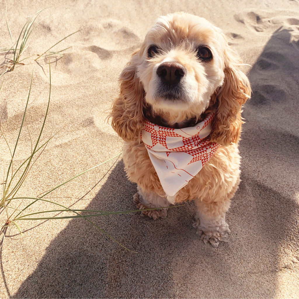 Cotton Printed Bandanas