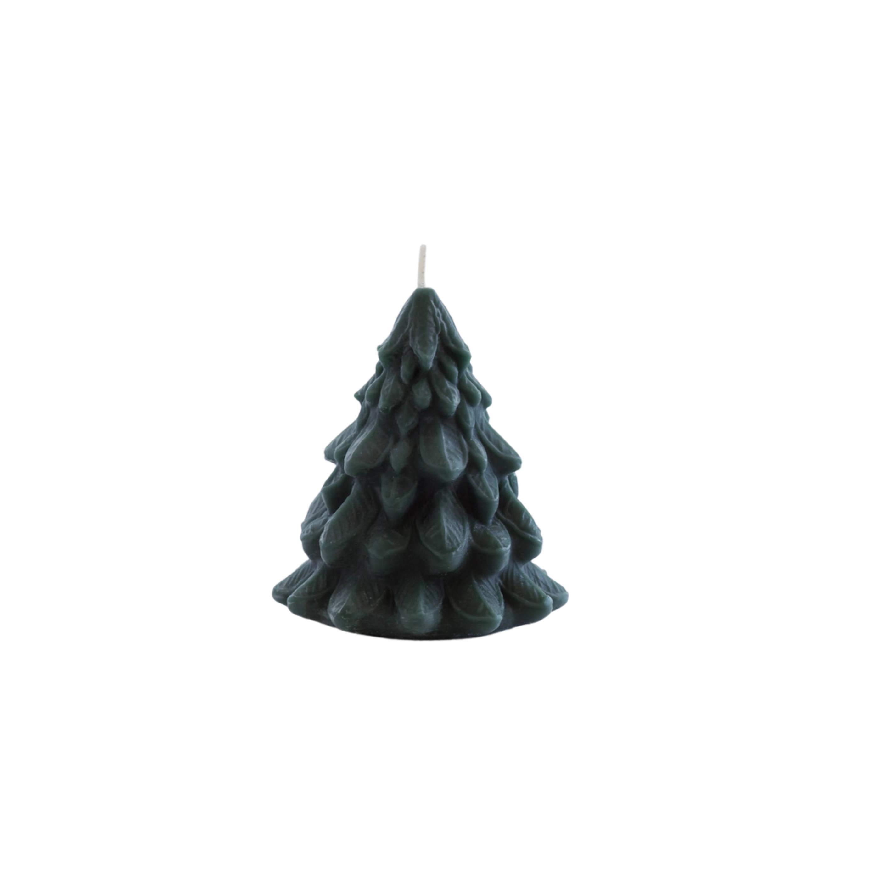 Beeswax Tree Candle