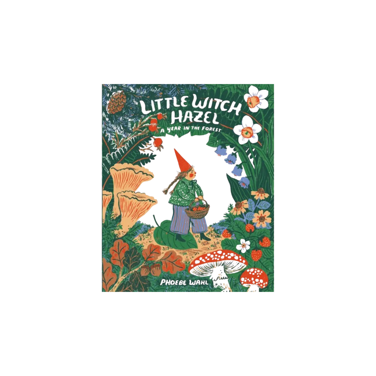 Little Witch Hazel