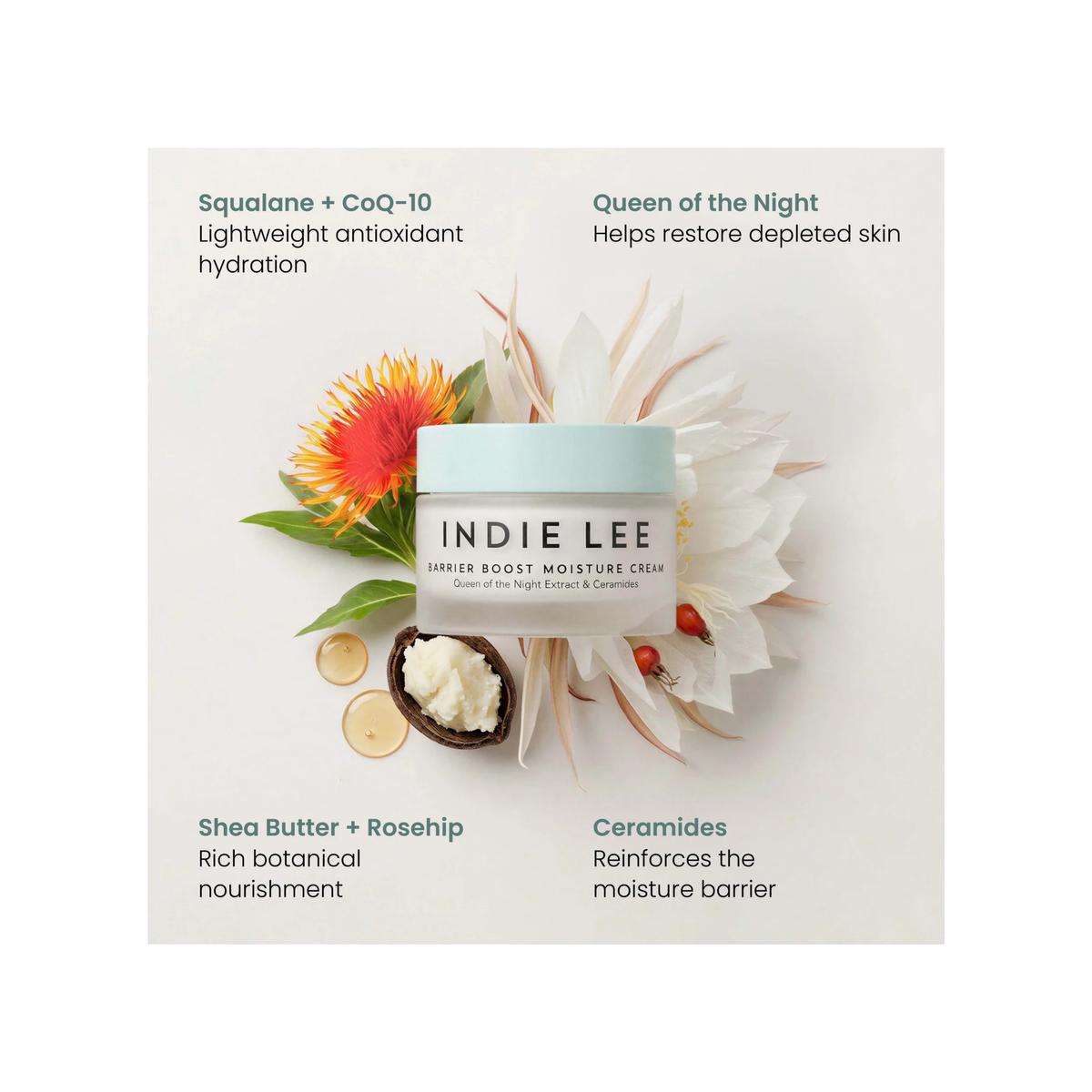 Barrier Boost Moisture Cream