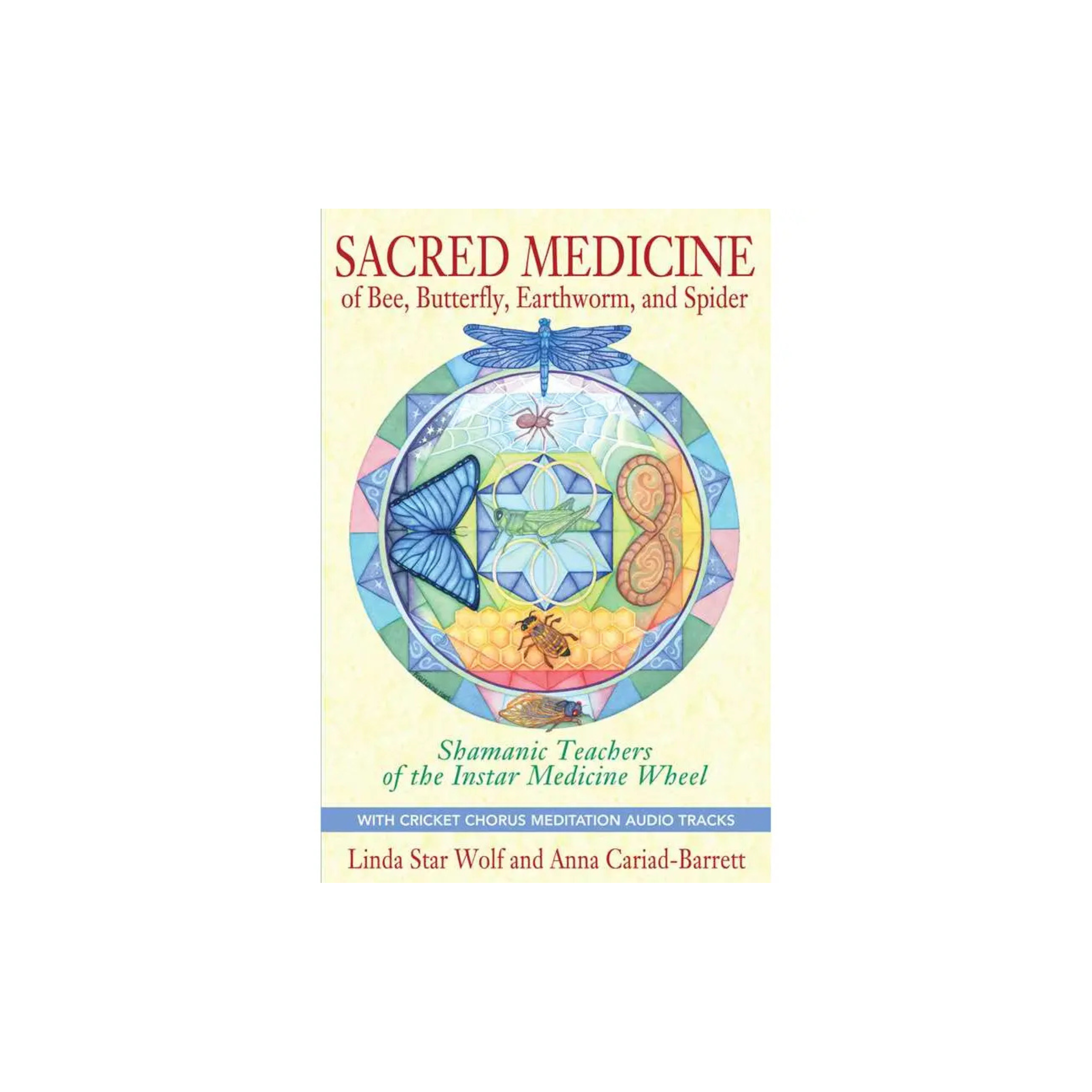 Sacred Medicine of Bee, Butterfly, Earthworm, and Spider