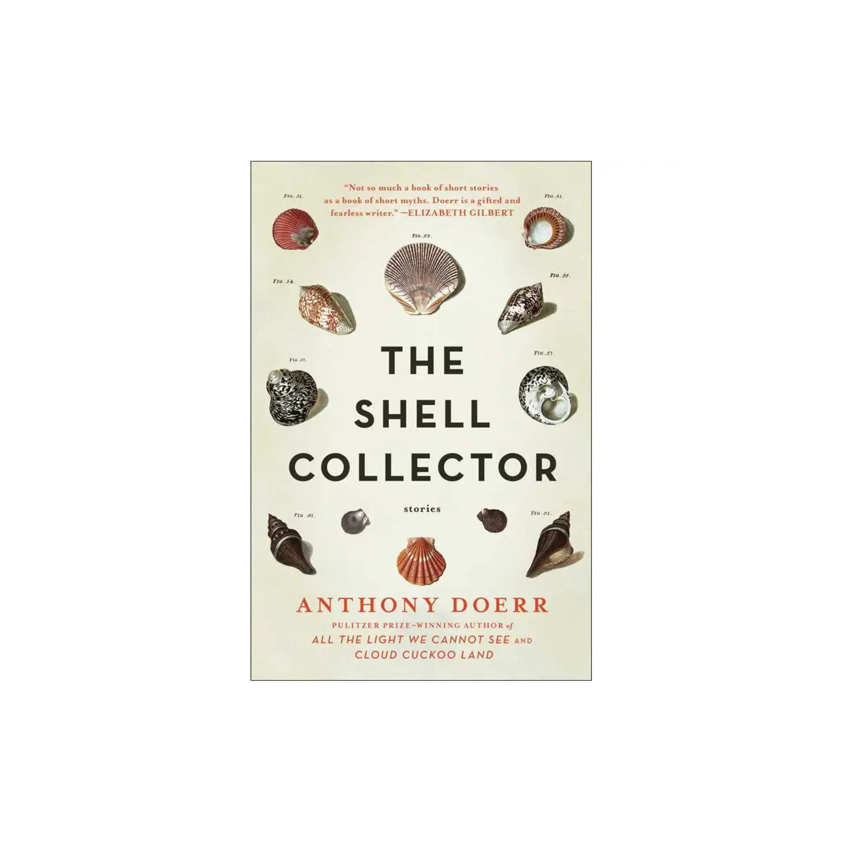 Shell Collector