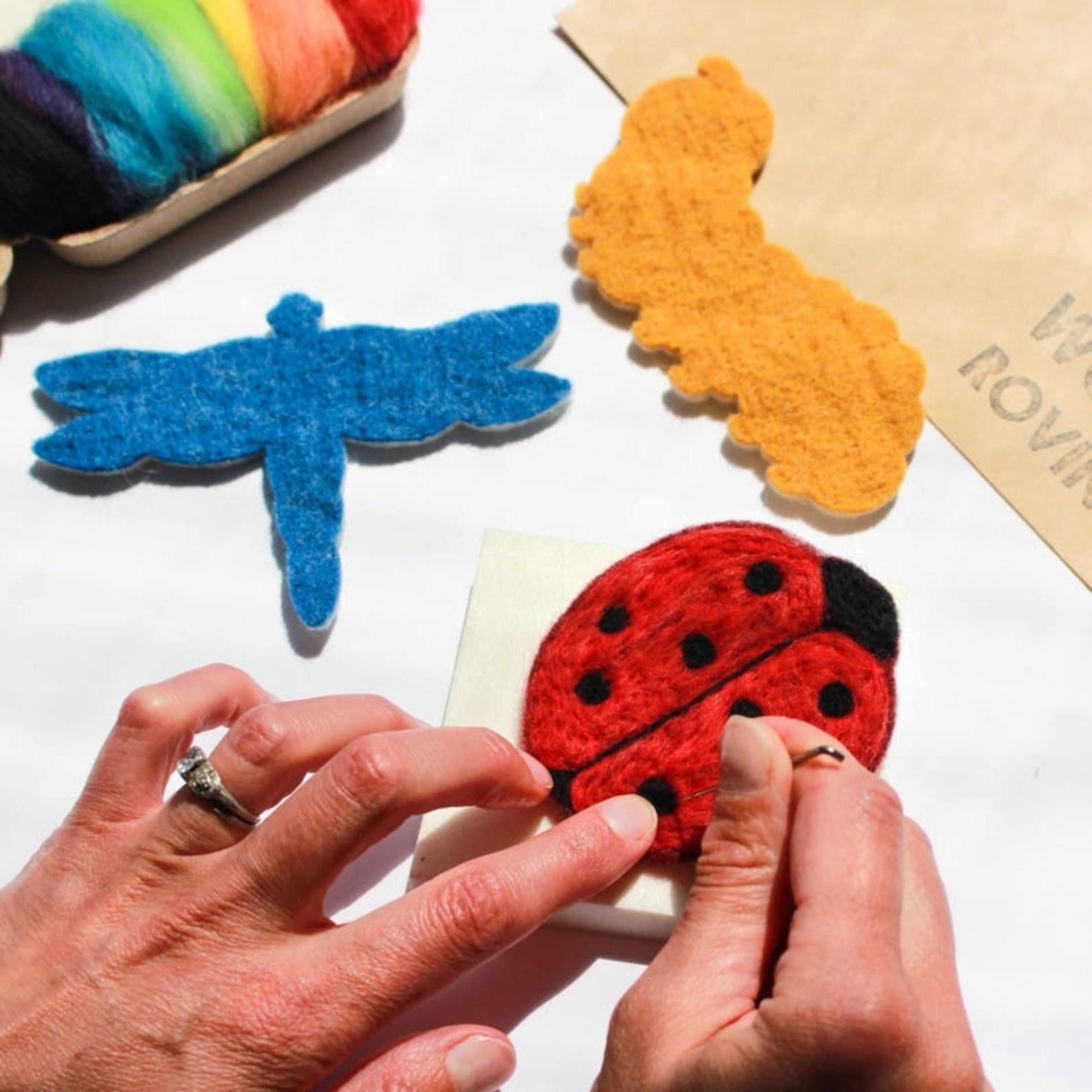Bugs Felting Craft Kit