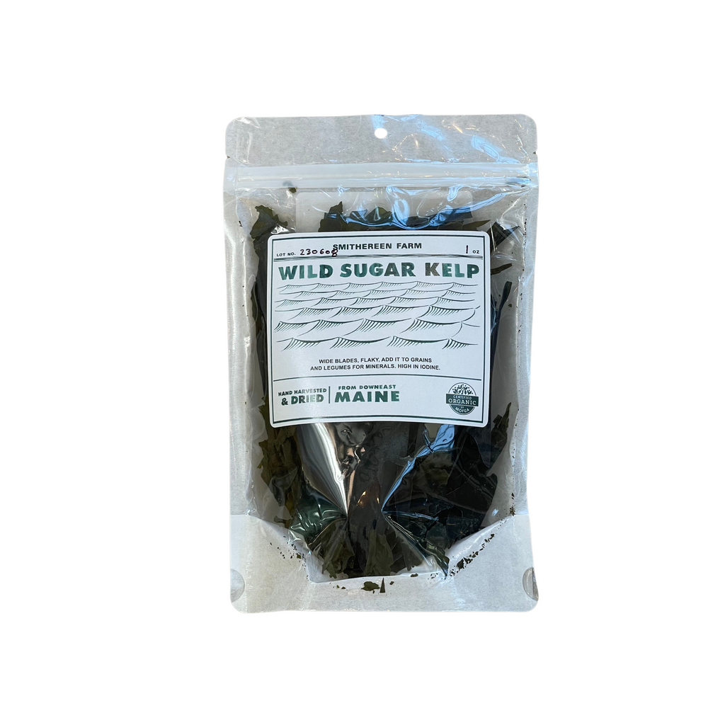 Wild Sugar Kelp